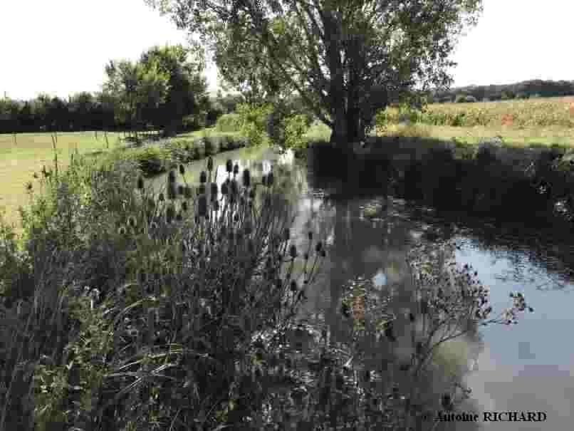 Bed & Breakfast Chateau Manoir De Chandoiseau Les-Trois-Moutiers