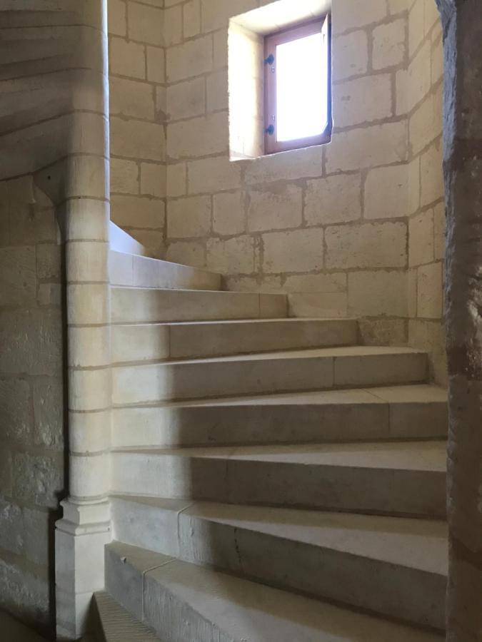 Chateau Manoir De Chandoiseau Bed & Breakfast *