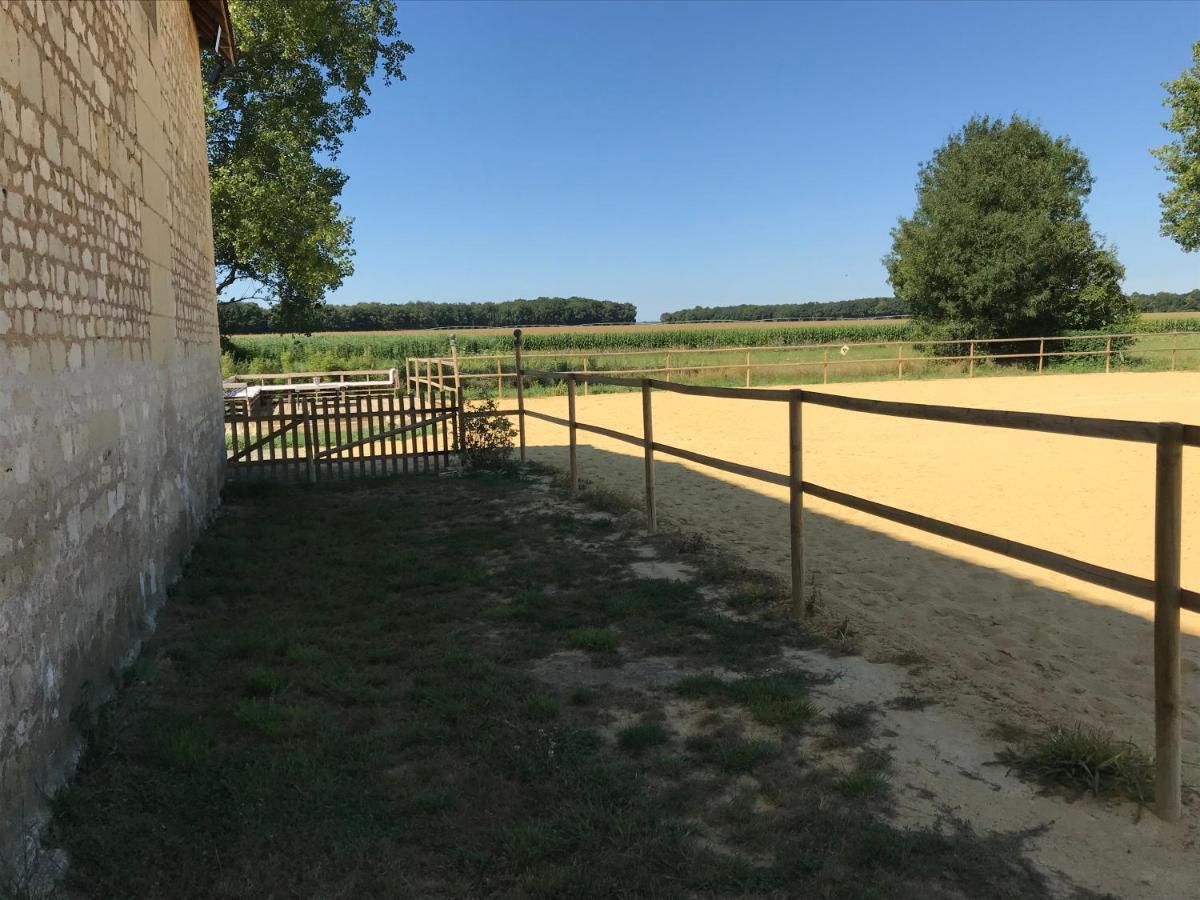 Bed & Breakfast Chateau Manoir De Chandoiseau *