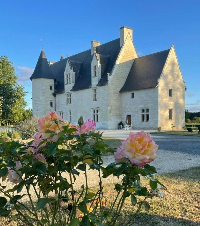 Bed & Breakfast Chateau Manoir De Chandoiseau *